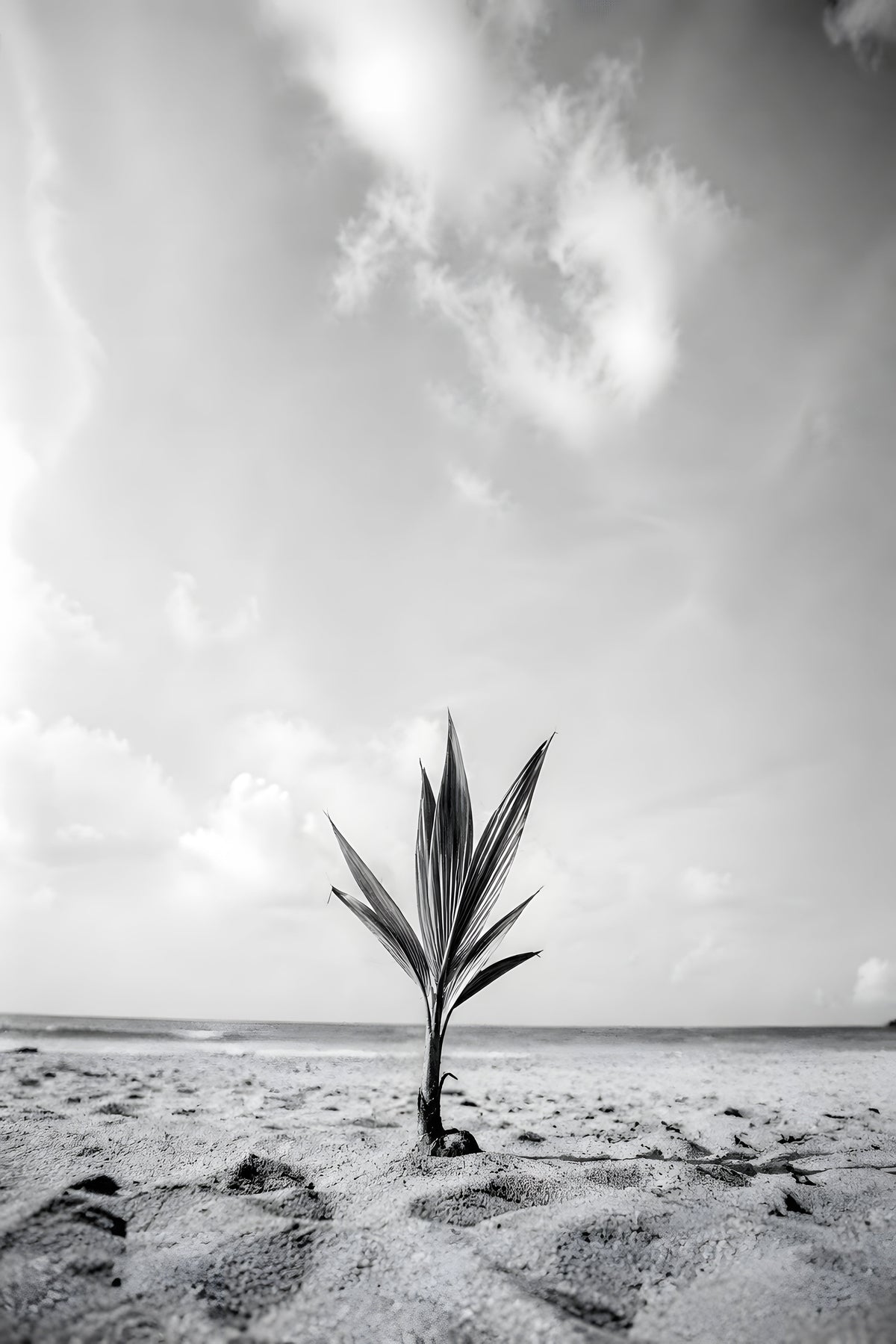 ART-000315 — original artwork