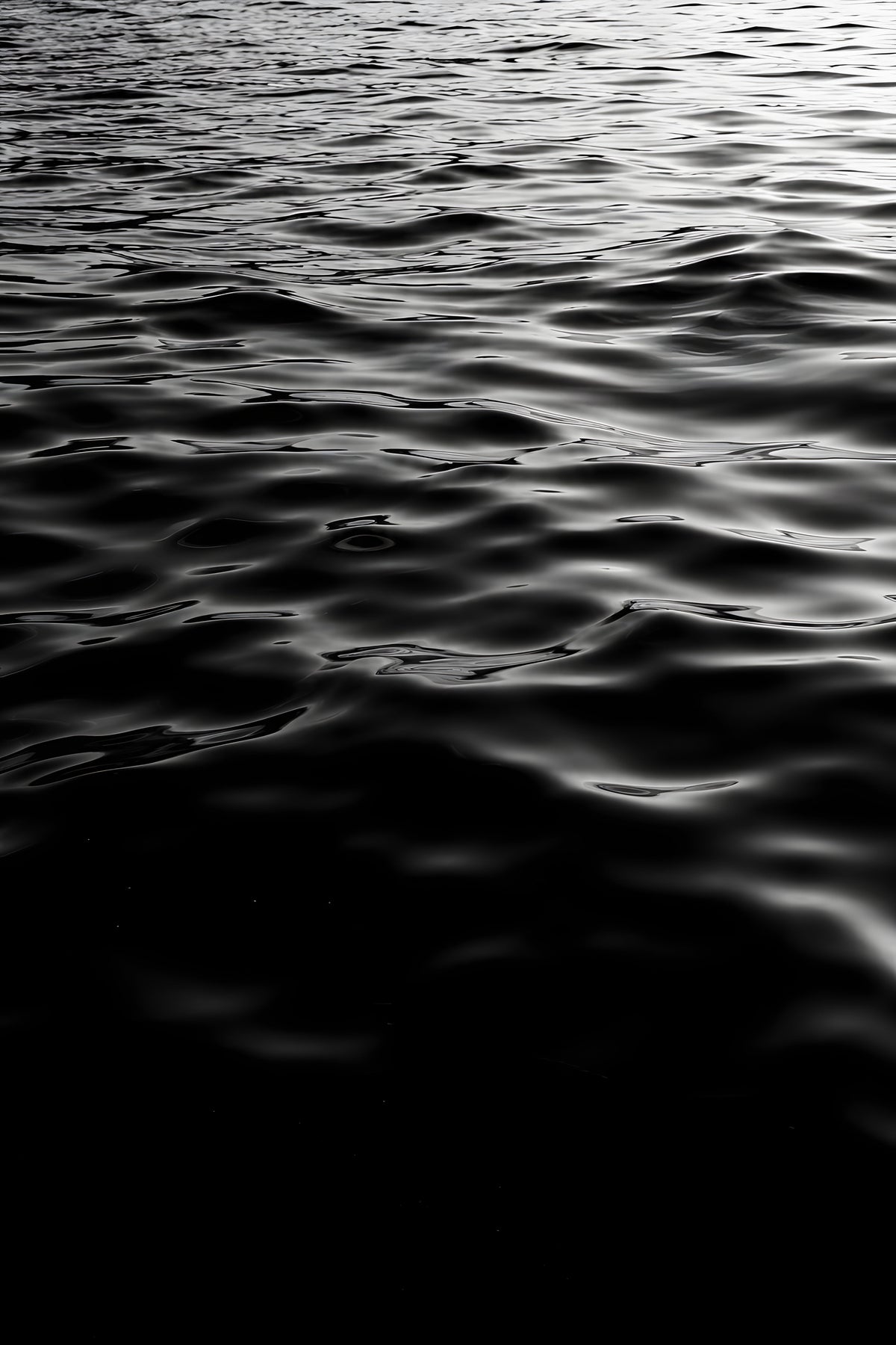 ART-001361 — original artwork
